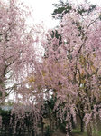 OO16051.jpg