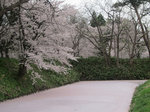 N1401.jpg