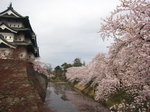 N1402.jpg