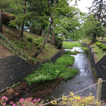 n02.jpg